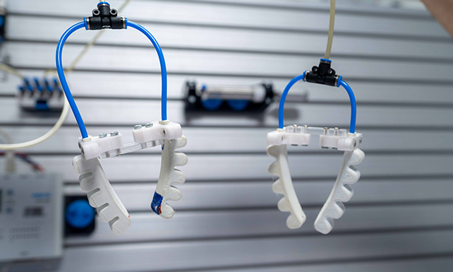 Bio-hybrid Soft Robotics Lab 10