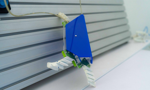 Bio-hybrid Soft Robotics Lab 6