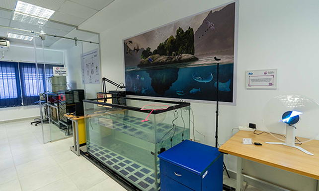 Bio-hybrid Soft Robotics Lab 7 