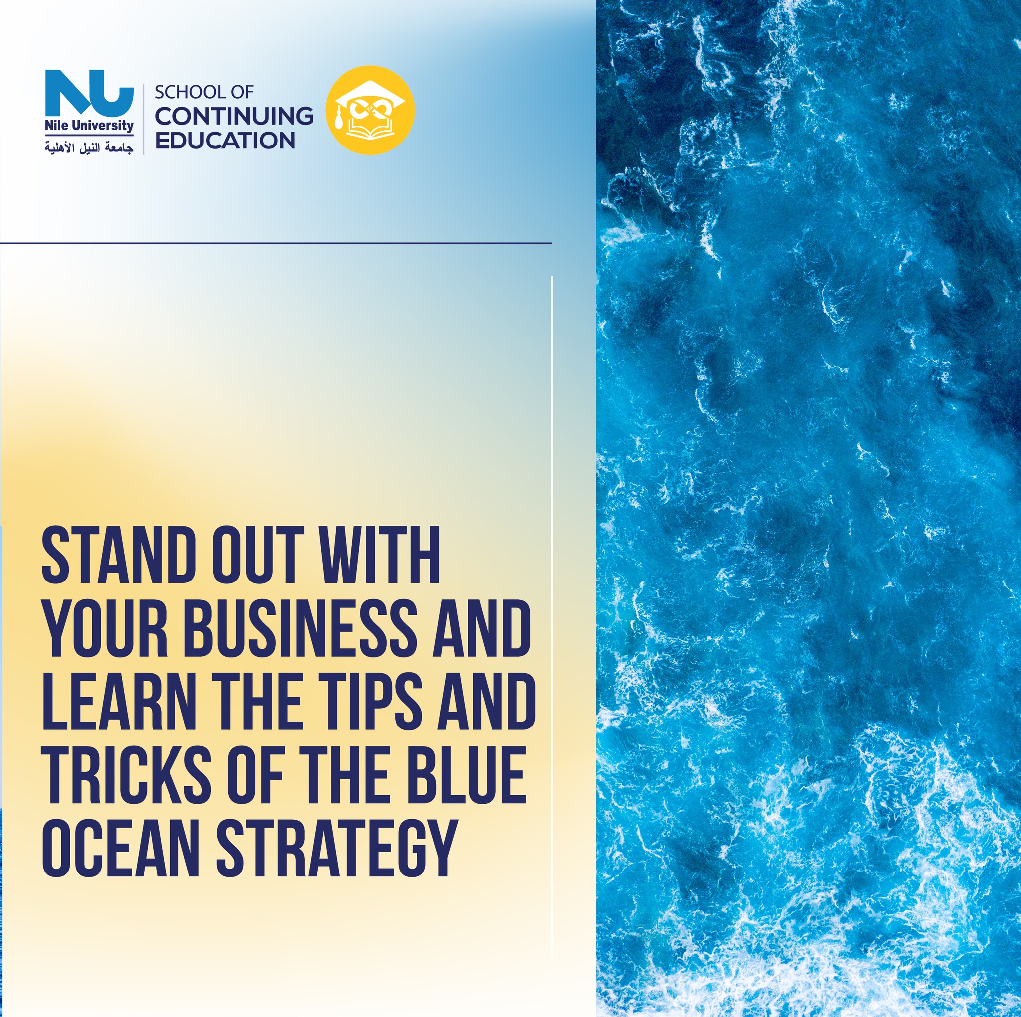 Blue Ocean Strategy Workshop