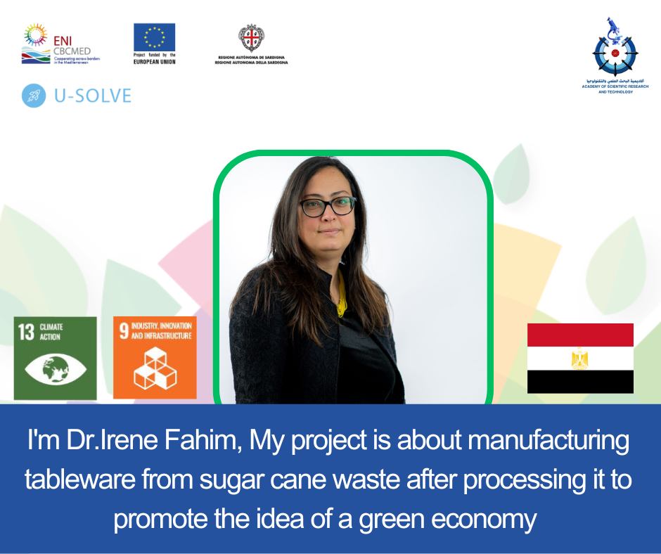 dr._irene_won_a_u-solve_project_grant_from_the_academy_