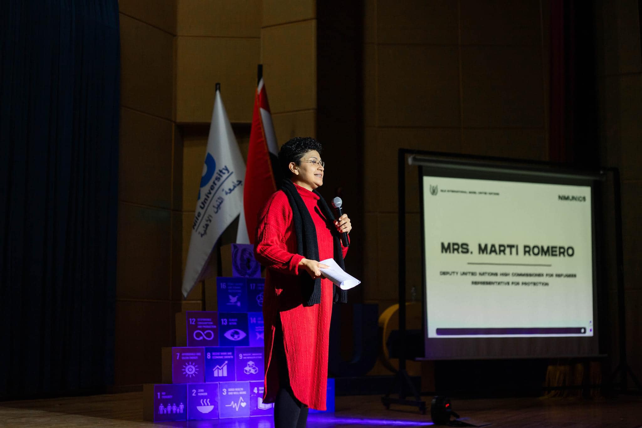 5th International Conference at Nile University!